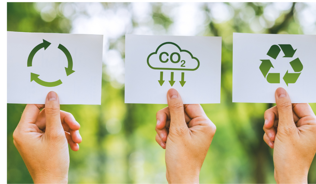 Sustainability in FMCG: From Green Commitments to Profitability
